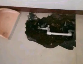 定陶卫生间测漏水多少钱